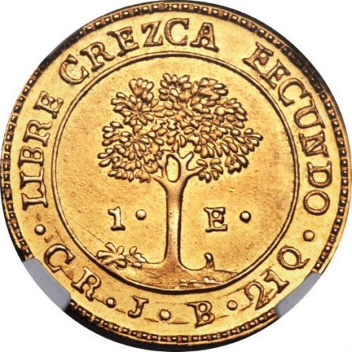 トップグレード(同列) １エスクード金貨 コスタリカ 中央アメリカ連邦共和国 「太陽が光を放つ」デザインは買い 1849年 MS63 NGC