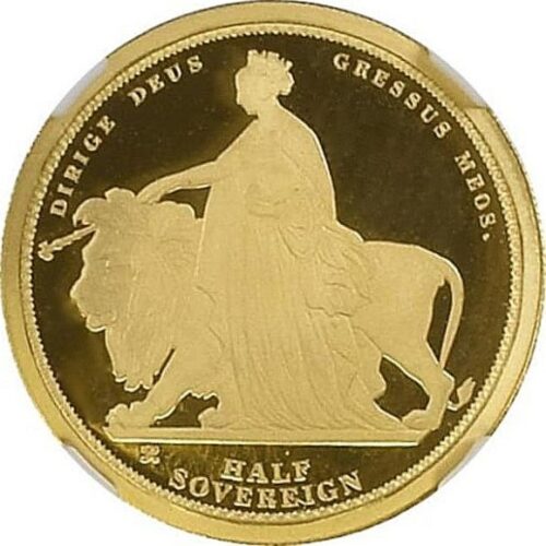 トップグレード(同列) ウナ＆ライオン 1/2ソブリン金貨 ヴィクトリア女王生誕200年 イギリス領オルダニー島 2019年 ウルトラカメオ PF70 NGC